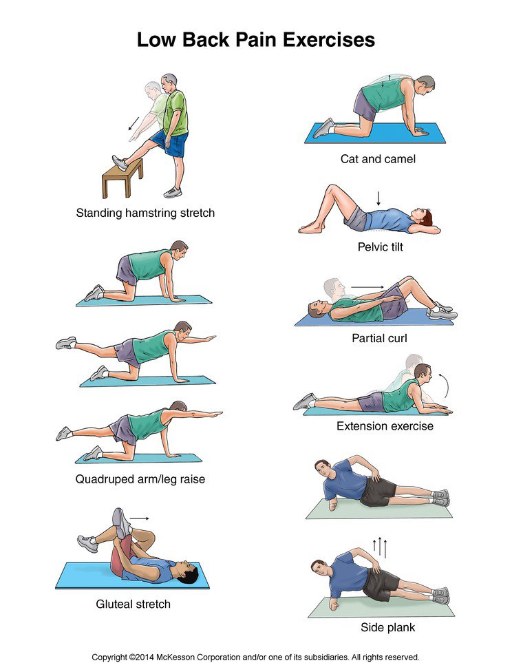 Lower Back Exercises